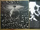 Neil Young /LP Mirror Ball / Bob Dylan R.E.M. Pearl Jam