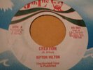 Ripton Hilton Creation Killer Roots 7