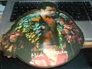 QUEEN FREDDIE MERCURY MADE IN HEAVEN SHAPD PICTURE DISC