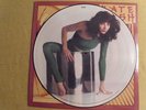 Kate Bush The Kick Inside PICTURE DISC UK LP LIMITED ED