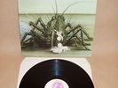 BIRTH CONTROL Operation Prog Hard Psych Kraut Ohr LP