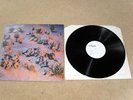 SWISS PUNK/KBD.LILIPUT/KLEENEX/RAINCOATS  LP