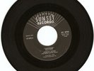 RARE GARAGE ROCKER- ADRIAN LLOYD- 