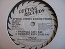 ELECTRO/ Hashim-Primrose Path/Alnaafiysh (LISTEN) WLP