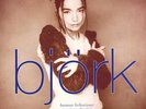 BJORK human behaviour RARE FRENCH PROMO  12