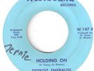 NORTHERN SOUL DETROIT EMERALDS  
