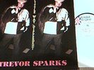 TREVOR SPARKS A LITTLE WAY DIFFERENT DIGITAL ENGLISH LP