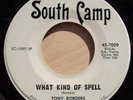 rare soul 45 Tony Borders - What Kind Of Spell HEAR