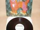 PUSSY Plays Prog Psych  RARE LP