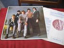 THEM THE ANGRY YOUNG THEM 1965 ORIGINALES BEAT MONSTER