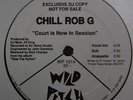 CHILL ROB G COURT IS NOW IN SESSION 12