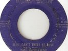 DEE EDWARDS WHY CANT THERE BE LOVE  NORTHERN SOUL hear
