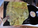 OUT OF FOCUS SAME LP IN 1971 DREAM CONDITION MINT