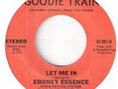 MODERN SOUL  EBONEY ESSENCE   