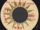 The Blox Say Those Magic Words Garage 45 Solar HEAR