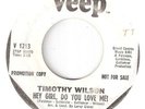 NORTHERN SOUL TIMOTHY WILSON 
