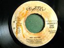 * ALTHEA FOREST Hey Mister RARE COSMIC ISLAND DISCO 45?