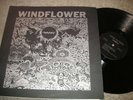 WINDFLOWER,DREAMS, HEAVY PSYCH ROCK PRIVATE