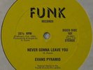 EVANS PYRAMID Never Gonna... MODERN SOUL/DISCO/FUNK 12
