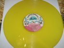 RETTORE Splendido splendente  - MIX DISCO GIALLO Raro