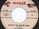 rare New Breed R&B 45 JOE SHEPARD what's the matter
