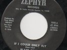 BLAZE FOLEY If I Could Only Fly PRIVATE TEXAS ZEPHYR 45