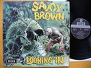 SAVOY BROWN looking in LP NM  psych prog butterfield