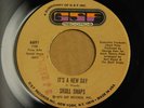 SKULL SNAPS It's A New Day 45 on GSF CLASSIC BREAKS