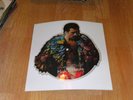QUEEN FREDDIE MADE IN HEAVEN SHAPE PICTURE DISC 1985