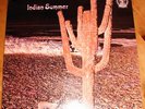 Indian Summer   Same org. Neon