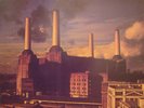 PINK FLOYD - ANIMALS - MINT