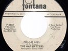 The Mad Hatters I'll Come Running Garage 45 Fontana MP3