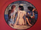 Pink Floyd Rare Beauty Picture Disc 