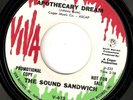 SOUND SANDWICH FUZZ HALLUCINOGENIC GARAGE PSYCH 45 HEAR