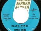 Garage 45 LITTLE JOHN & THE MONKS 