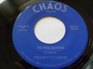 INSANITY'S HORSE 45 DETROIT GARAGE MC5 STOOGES HEAR