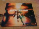 Manitoba Up In Flames LP Caribou OOP Rare Domino Leaf