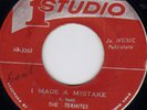 TERMITES - I MADE A MISTAKE early STUDIO ONE label   ??