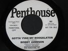 Bobby Jameson   Roogalator   rocker 45 Frank Zappa HEAR