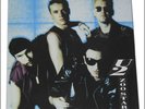 U2 - ZOO STARS (VERY RARE 2 LP SET) NEW