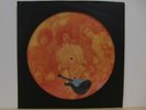 Jimi Hendrix Experience Picture Disc