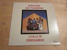 Babatunde & Phenomena - Levels of Conciousness LP Funk