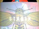 STRAIN PUSHEADEP UNDERTOW BETRAYED CHAMPION TRIAL SNFU