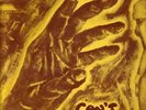 JOHNNY CLARKE/ART & CRAFT/ CAN'T GET ENOUGH LP EX