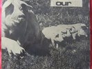 PINK FLOYD LIVE RARE LP - TOUR 73 16425