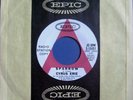 CYRUS ERIE (Eric Carmen) SPARROW / GET THE MESSAGE 45