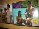 ELVIS PRESLEY - THE BLUE HAWAII BOX - 4LP + Heftbeilage