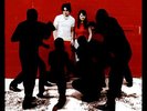 White Stripes WHITE BLOOD CELLS Split Color Ships Int'l