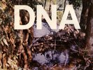 DNA A TASTE OF DNA ROUGH TRADE NO WAVE ARTO LINDSAY