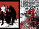 White Stripes Split Color White Blood Cells 3rd Man Rec